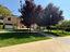 Immagine 29