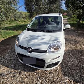 fiat panda  312 