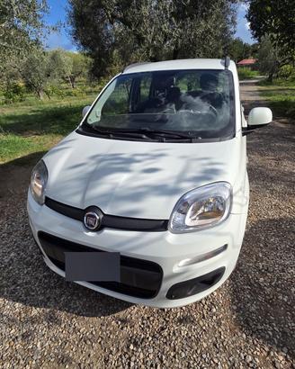 fiat panda  312 