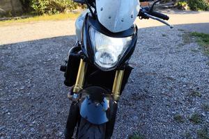 Hornet 600 '09 bianco perla