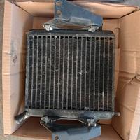 Radiatore Aprilia SR50