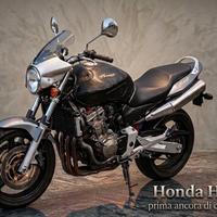 splendida Hornet 900