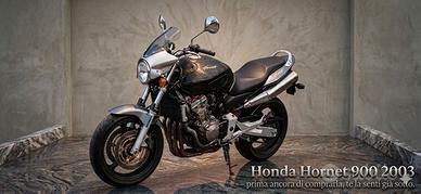 splendida Hornet 900