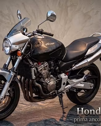 splendida Hornet 900