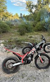 Trial beta 300 evo factory