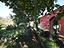 Immagine 12