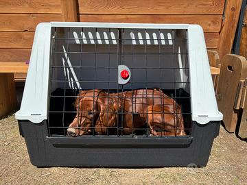 Trasportino Atlas 80 come nuovo