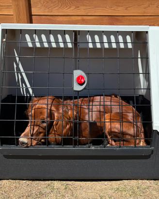 Trasportino Atlas 80 come nuovo