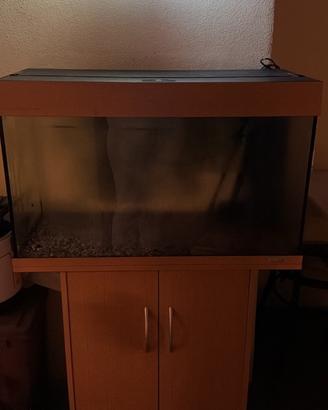 Acquario Juwel 80 Lt