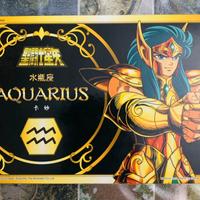 Saint, Cavaliere dello zodiaco, Acquarius…Nuovo!!!