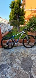 mtb Scapin Blato VD6