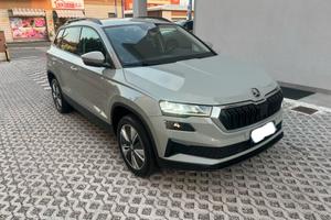 Skoda Karoq Executive evo scr dsg 2.0 TDI 115cv 