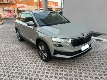 Skoda Karoq Executive evo scr dsg 2.0 TDI 115cv 