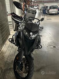 Benelli TRK 502 - 2024