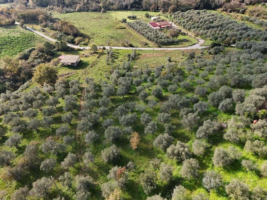 Terreno di 10500 m² a Perdifumo - Altro