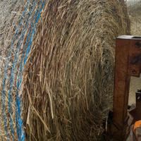 Fieno di prato stabile