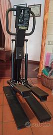 Technogym Rampica Stepper