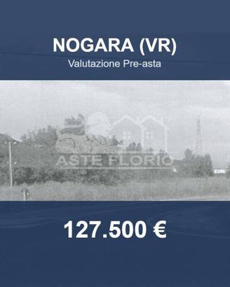 Immobile in asta di 13826 m² a Nogara