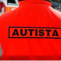 Autista accompagnatore