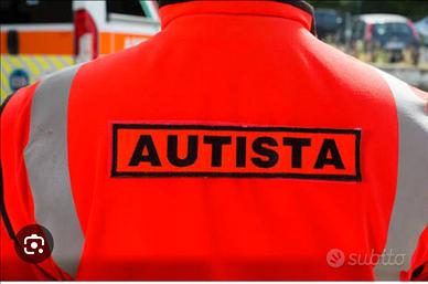 Autista accompagnatore