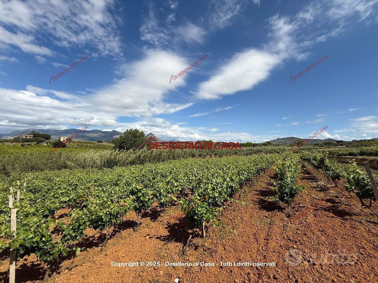 Terreno, Partinico. - Vista 2
