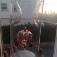 Coppa in cristallo 