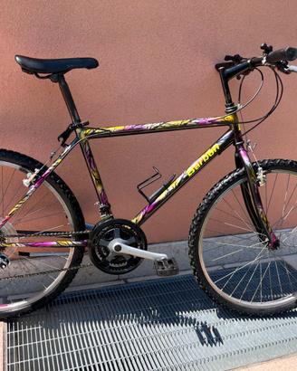 Mountain Bike Vintage