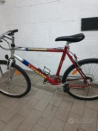 Mountain bike