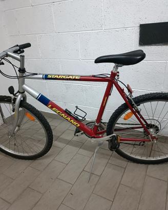 Mountain bike