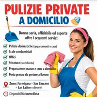 Lavoro domestico
