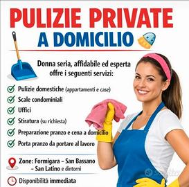 Lavoro domestico