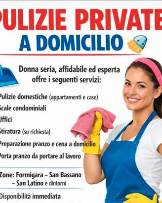 Lavoro domestico