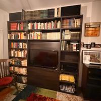 Libreria salotto con incasso per Tv