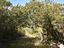 Immagine 29