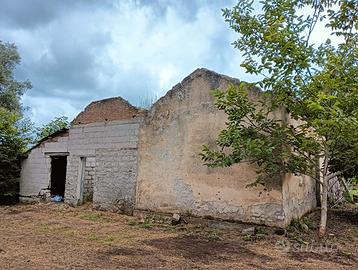 Terreno + rustico + limoneto