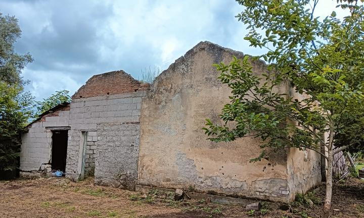 Terreno + rustico + limoneto