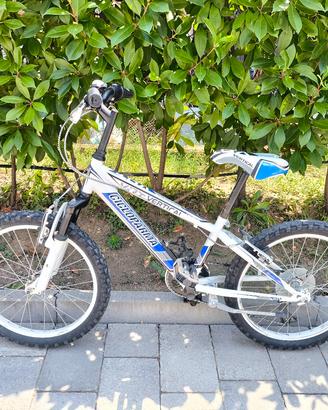 bici da ragazzo mtb