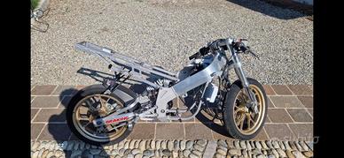Derbi gpr 50