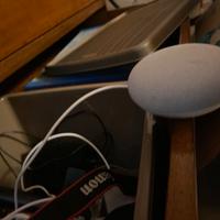 Google home mai usata