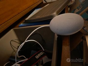 Google home mai usata