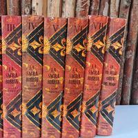 La Sacra Bubbia Illustrata