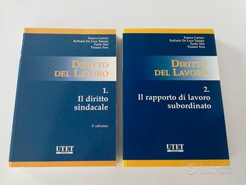 diritto del lavoro