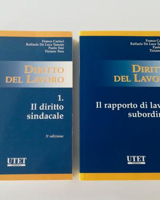 diritto del lavoro