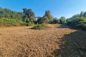 Terreno edificabile non urbanizzato