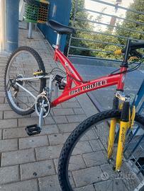 mountan bike ruote 26
