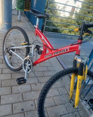 mountan bike ruote 26