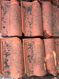 Tegola portoghese monocoppo