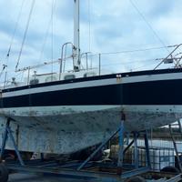 TAMATINO CUTTER IN ACCIAO arch. Foschi