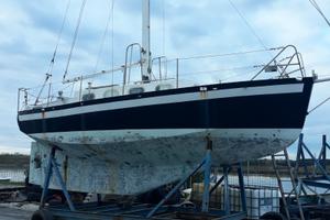 TAMATINO CUTTER IN ACCIAO arch. Foschi