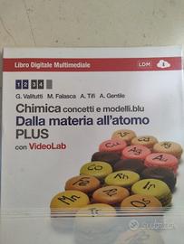 Chimica concetti e modelli.blu